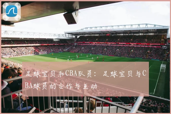 足球宝贝和CBA队员：足球宝贝与CBA球员的合作与互动