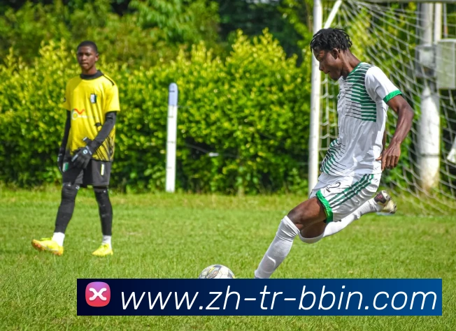 App Interface Preview